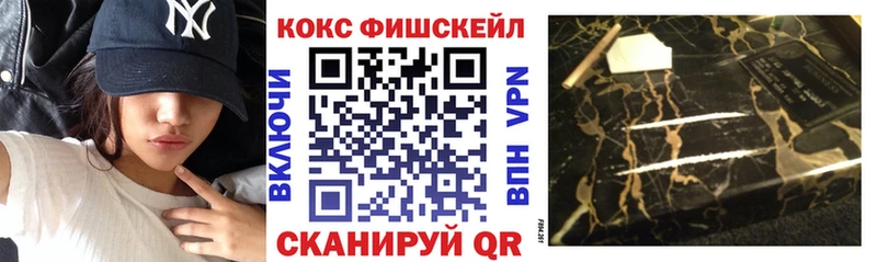 COCAIN Fish Scale купить наркоту МЕГА tor Ясногорск