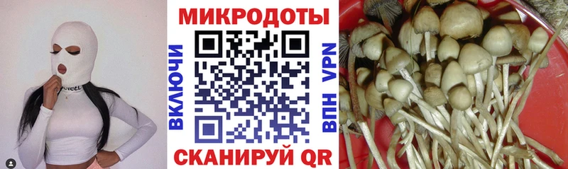 Галлюциногенные грибы мухоморы где продают Ясногорск